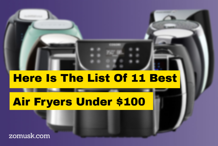 Here Is The List Of 11 Best Air Fryers Under $100